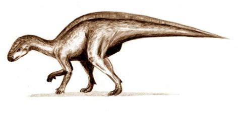 Rhabdodon Pictures & Facts - The Dinosaur Database