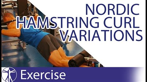 Nordic Hamstring Curl Variations | Hamstring Training - YouTube