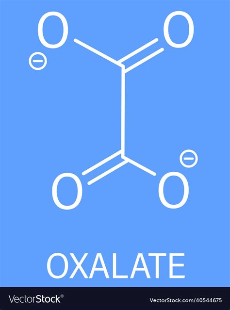 Oxalate anion chemical structure skeletal formula Vector Image