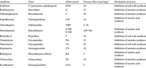 Antibiotics, their classes, abbreviations, and their mechanism of action | Download Scientific ...