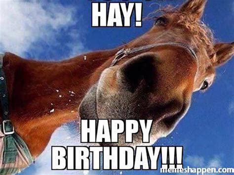 15 Hilarious Happy Birthday Horse Meme Photos | Funny horse memes, Horse quotes funny, Horse jokes