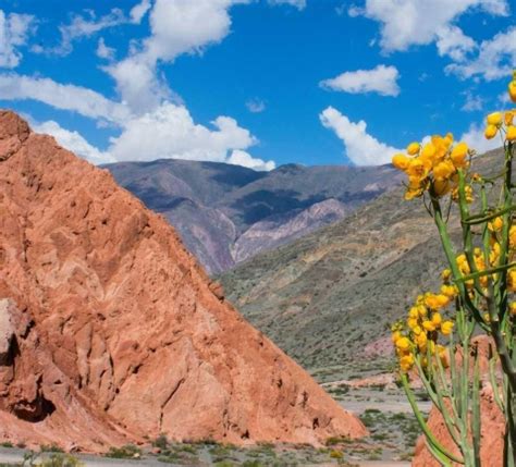 The BEST Salta Tours and Things to Do in 2023 - FREE Cancellation ...