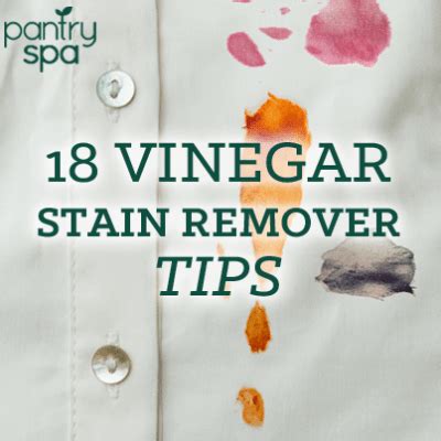 18 Vinegar Stain Remover Tips (Blood Stains, Ink Stains & More!)