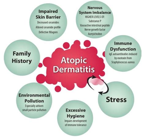 What Causes Atopic Dermatitis