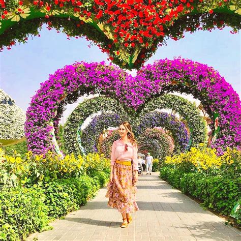 Dubai Miracle Garden Is the Place to Visit