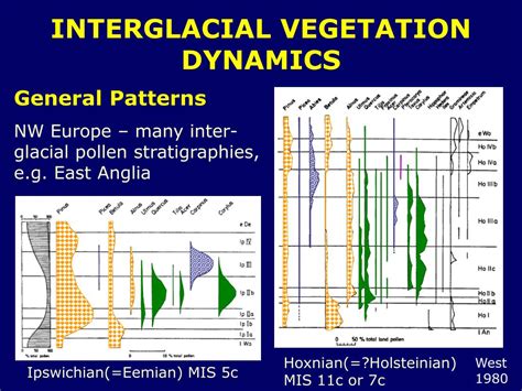 PPT - INTERGLACIAL-GLACIAL VEGETATION DYNAMICS – A NATURAL LONG-TERM ...