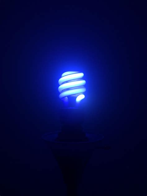 Quick shot of the new black light bulb I purchased. : pics