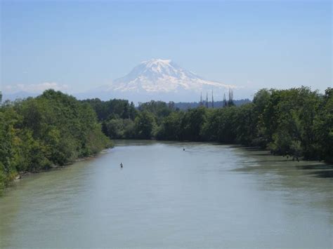 Puyallup River Fishing Information