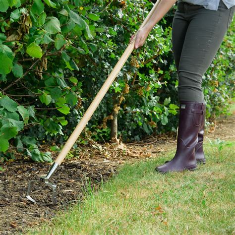 The Secret to Best Weeding Tool – Lions Club Gandalys Gent