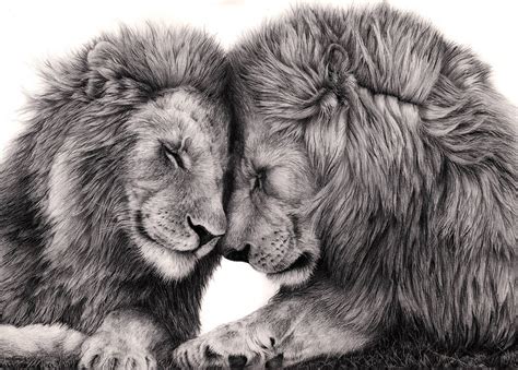 Lion Hug by Bengtern on DeviantArt