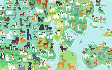 Dog Breeds Map: The Country Every Major Breed Of Dog Comes From