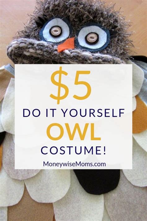 The Most Adorable $5 DIY Owl Costume - Moneywise Moms - Easy Family Recipes