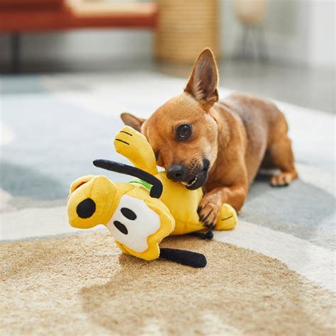 DISNEY Pluto Plush Squeaky Dog Toy, Medium - Chewy.com