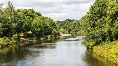 Plastics found in fifty percent of freshwater insects - News - Cardiff ...