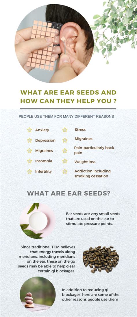 What Are Ear Seeds and their Benefits | Where To Buy Ear Seeds