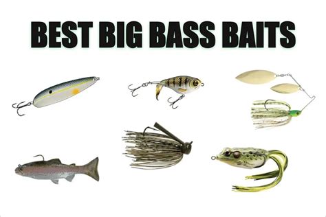 11 Bold Lures to Catch Giant Bass – Tilt Fishing