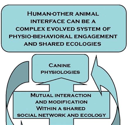 The Evolution of Human Behavior: New Approaches to the Evolution of Human Behavior