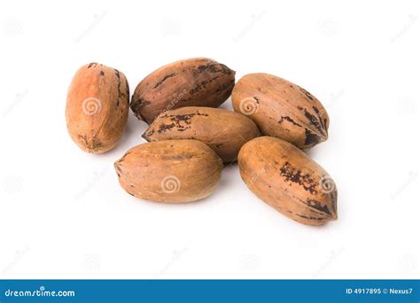 Pecans in the Shell stock image. Image of shells, nuts - 4917895