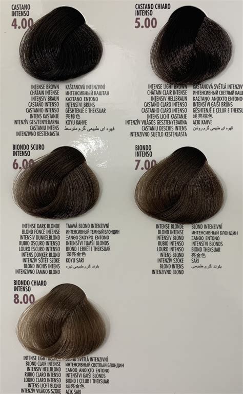 BES HI-FI PERMANENT HAIR COLOR / Intense Natural