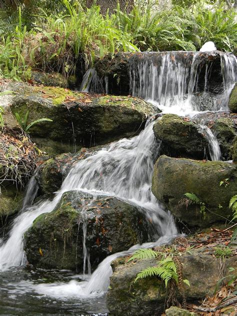 Rainbow Springs Waterfall Photograph by Warren Thompson - Fine Art America