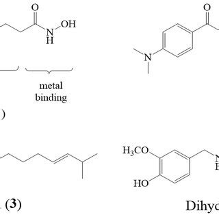 The pharmacophoric summary of HDAC inhibitor structural characteristics ...