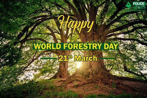 World Forest Day 21 st March 2021