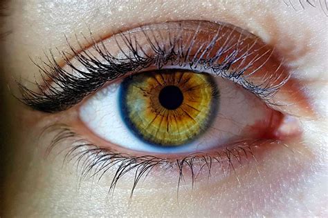 Identifican 50 nuevos genes que intervienen en el color de los ojos - BMN