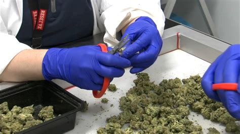 Illinois marijuana sales: Nearly $40M in legal weed sold in state ...