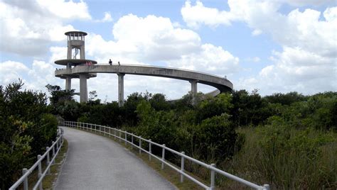 Shark Valley at Everglades National Park: Great bike trail; wildlife | Florida Rambler