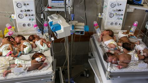 28 Premature Babies Evacuated From Al-Shifa Hospital Arrive in Egypt - The New York Times