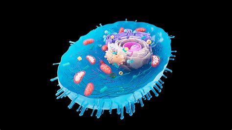 Scientists Say: Eukaryote