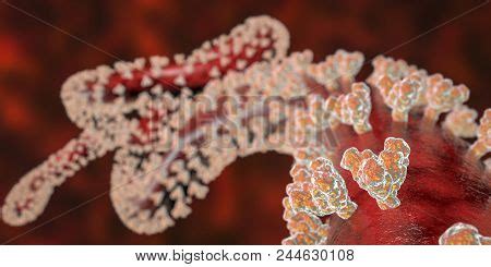 Close- View Ebola Image & Photo (Free Trial) | Bigstock