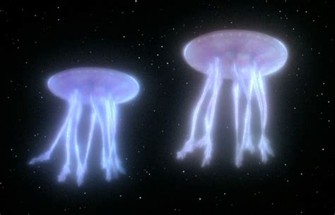 Star Jelly | Alien Species | FANDOM powered by Wikia