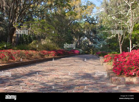 Maclay Gardens, Tallahassee, Florida, USA Stock Photo - Alamy