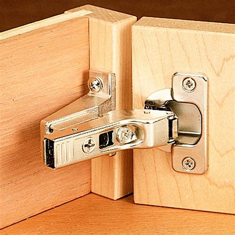 The many types of cabinet hinges that you can use (15 Examples)