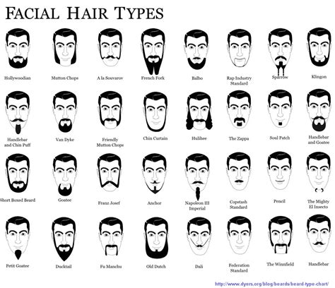 2024 Men'S Facial Hair - Tera Abagail