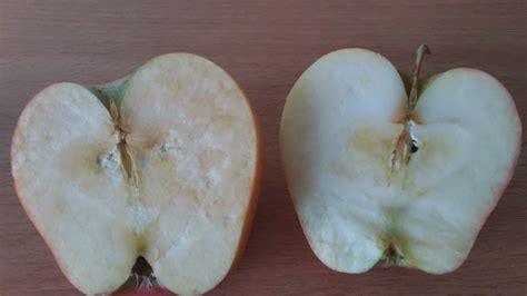 How to Make Apple Oxidation Experiment - STEM Little Explorers