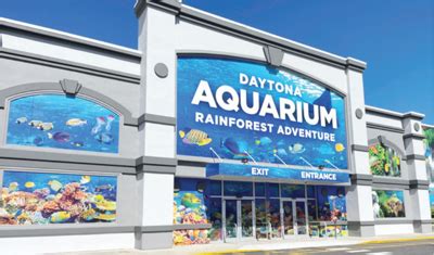 Daytona Aquarium and Rainforest Adventure now open | Community | daytonatimes.com