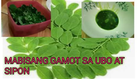 Halamang Gamot Sa Sipon Ng Baby - J-Net USA