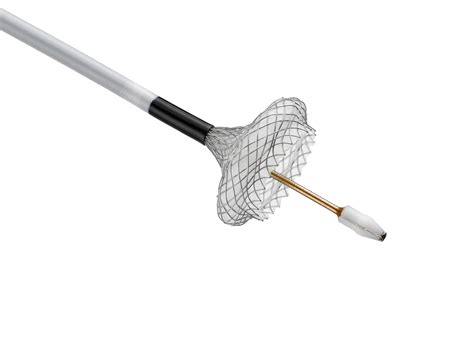 Boston Scientific Launches the AXIOS™ Stent and Electrocautery Enhanced Delivery System