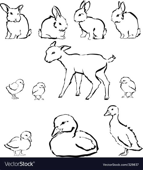 Spring baby animals Royalty Free Vector Image - VectorStock