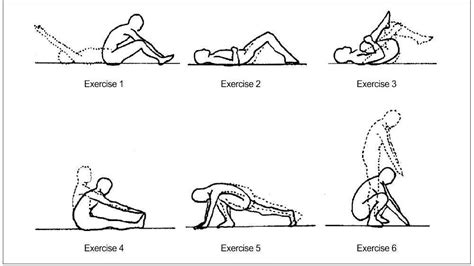 Williams Flexion Exercises