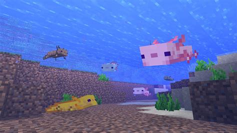 Minecraft axolotl guide: Everything you need to know | PC Gamer