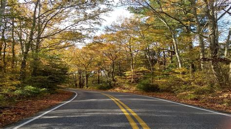 Keeping The Roads Clean And Our Environment Healthy This Earth Month | Sierra Club