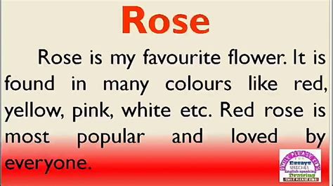 Essay on Rose in English, My favourite flower Rose - YouTube