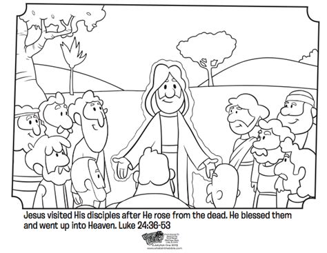 Jesus Appears to His Disciples - Bible Coloring Pages | What's in the Bible?