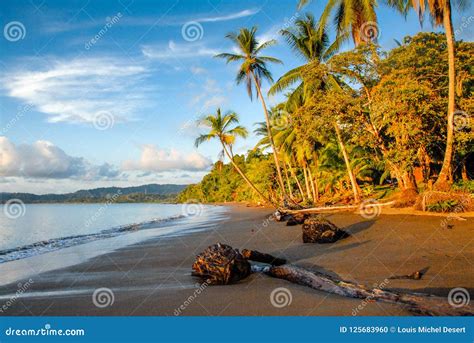 Drake Bay beach stock photo. Image of paradise, costa - 125683960