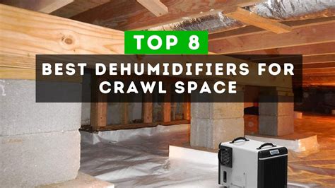 8 Best Dehumidifiers For Crawl Space | Buying Guide 2022