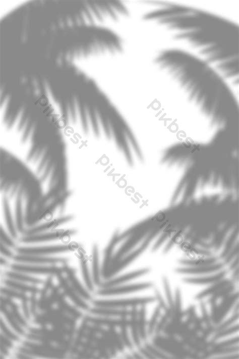 palm tree leaves shadow background image | Backgrounds PSD Free Download - Pikbest