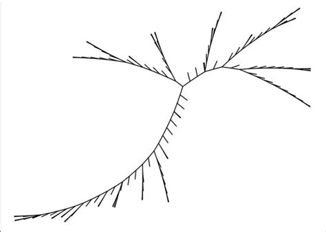 | A example tree obtained with cladistics, represented here as ...